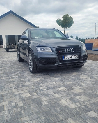 Audi SQ5 cena 89999 przebieg: 175376, rok produkcji 2014 z Szczebrzeszyn małe 172